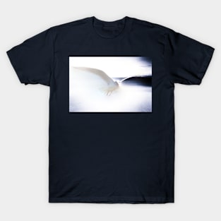 Spirit Of The Sea T-Shirt